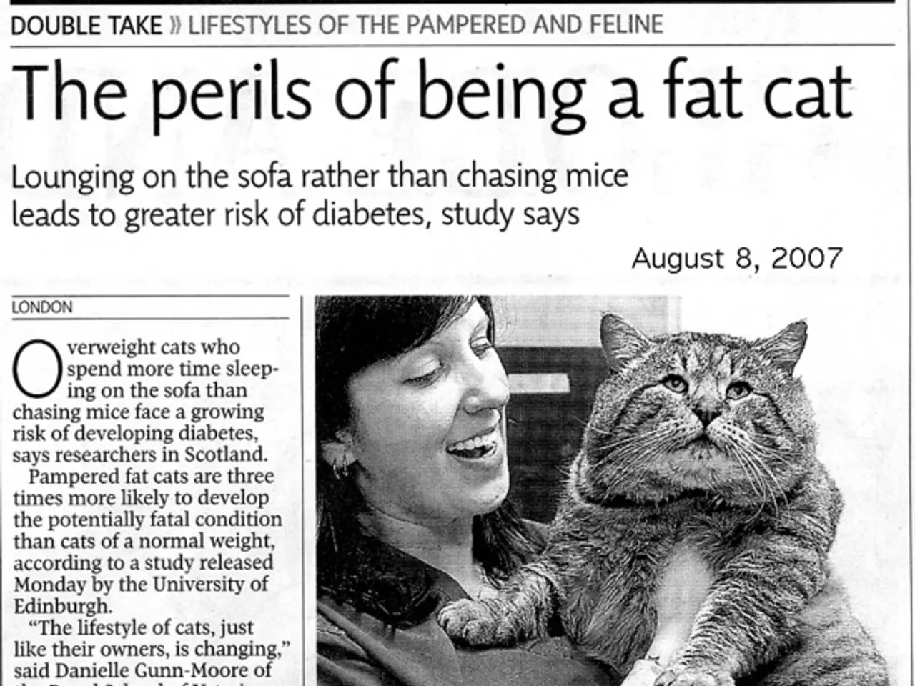 Impact of Federal Reserve on Home Loans: An Examination