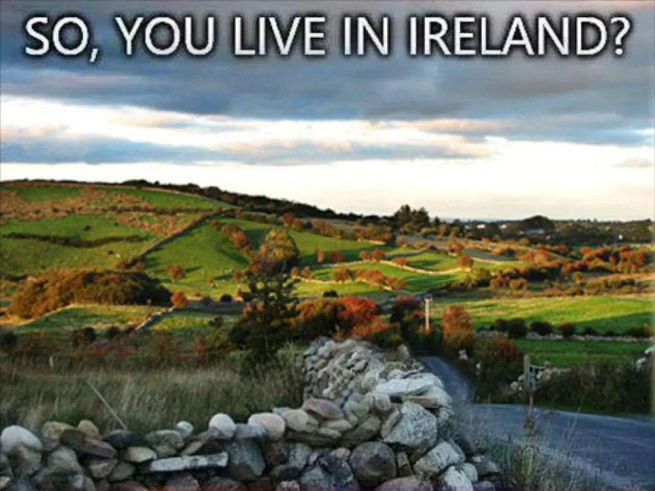 Eco-activists Ponder Innovative Method to Prevent Wildfires - Is This Strategy Applicable Within...