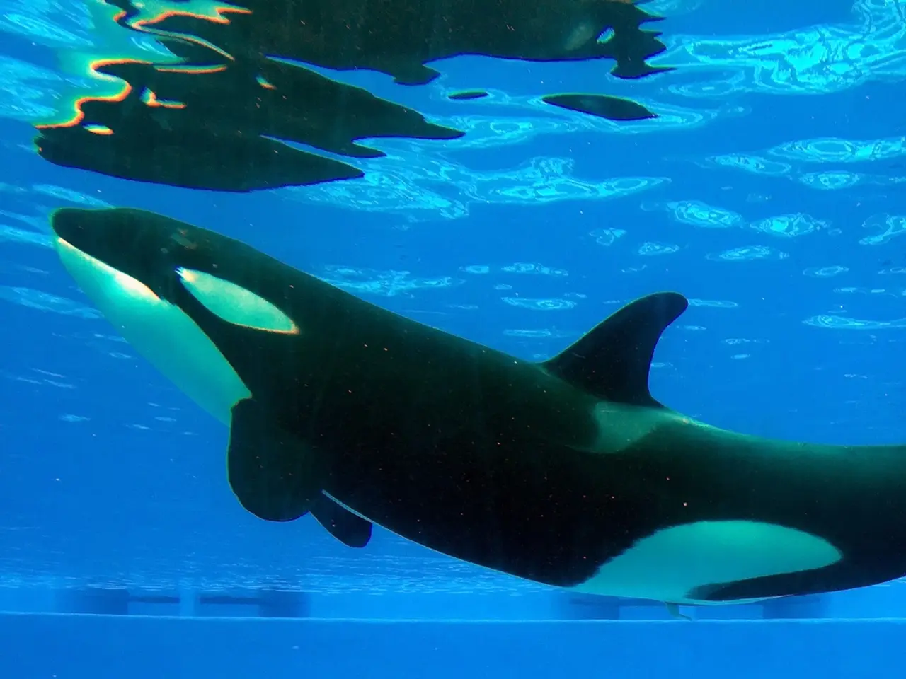 Giant Bitcoin Holder Realizes Huge Profit of $9.5 Billion by Selling Cryptocurrency Bought for...