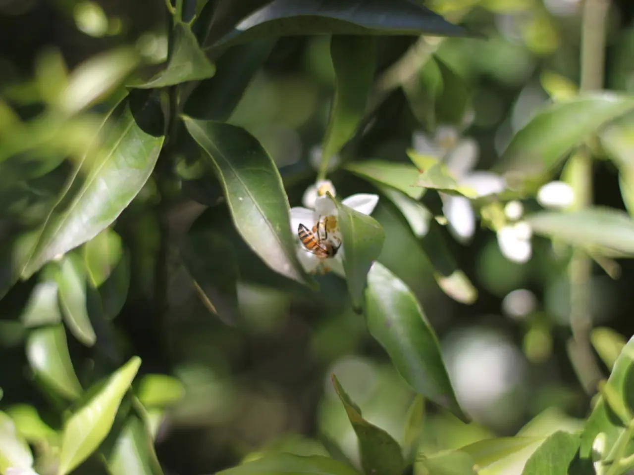 "Investors express dissatisfaction as MTN's Zakhele Futhi delivers less than promising financial...