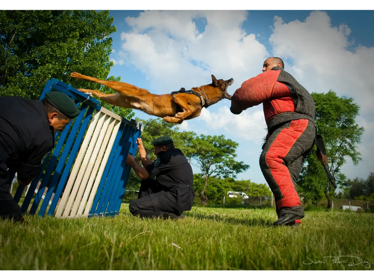 Litigation Investor Suffers Setback in Court Case: Lawsuit Proves Detrimental