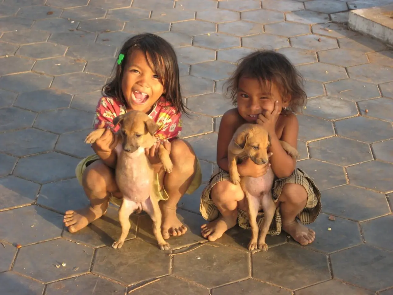 There are 2 kids holding each a dog in their hands.