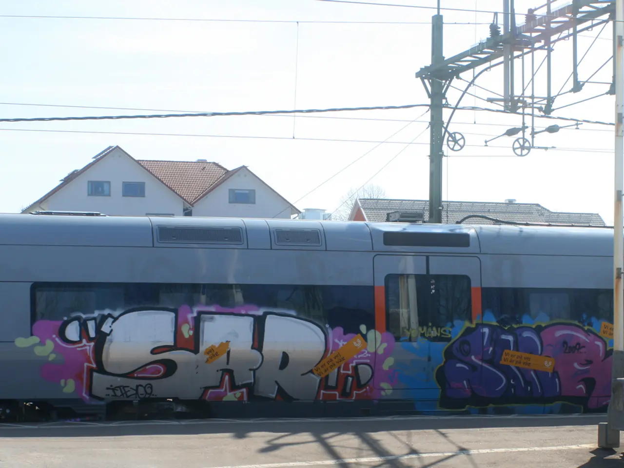 Graffiti is on the train. These are cables. Background there are houses with windows.