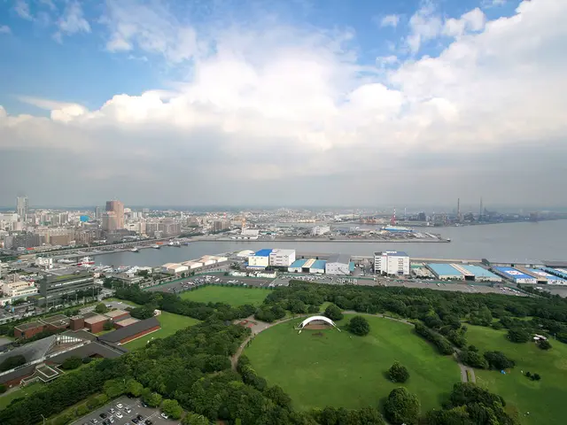 Investigating Doubled Verification of HHLA Board, led by Chief Titzrath in City and MSC.