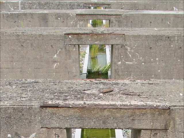 Concession agreements between Maynilad and Manila Water granted additional 10-year term extension