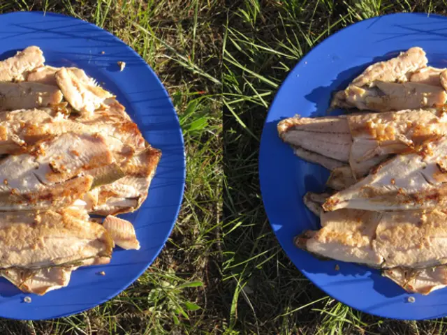 Australian Lamb Promotion Strategic Partnership Signed Between Indian Federation of Culinary...