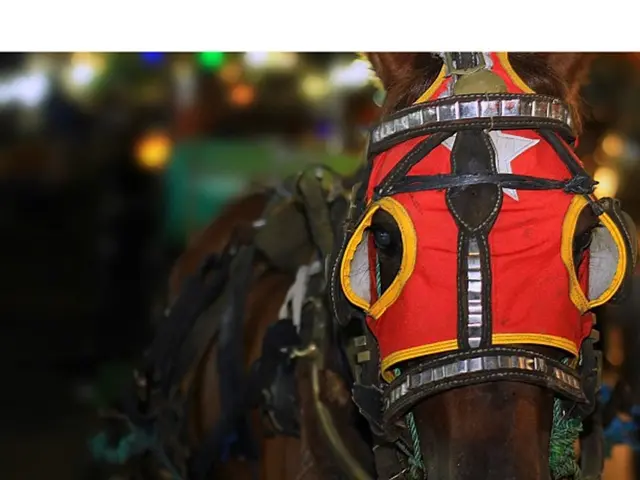 Dream Real Estate Investment Trust distributes $0.035 dividend to shareholders