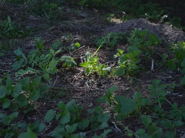 German Steel Producers Press On with Green Steel Transition After ArcelorMittal Rejection