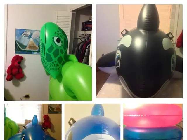 A Breakdown of Decelerating Inflation: Origins, Consequences, and Illustrative Cases