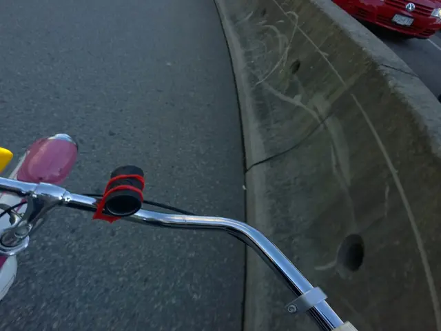 Norilsk Nickel and Gazprom decided to withhold dividend distributions for the year 2024.