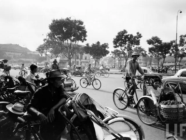 The Environmental Consequences of Journeys: An Examination
