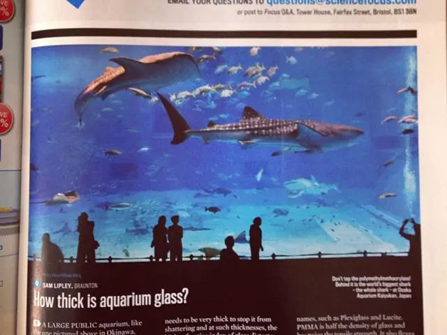 Private enterprise owners express concern that the sale of public lands may lead to their business...