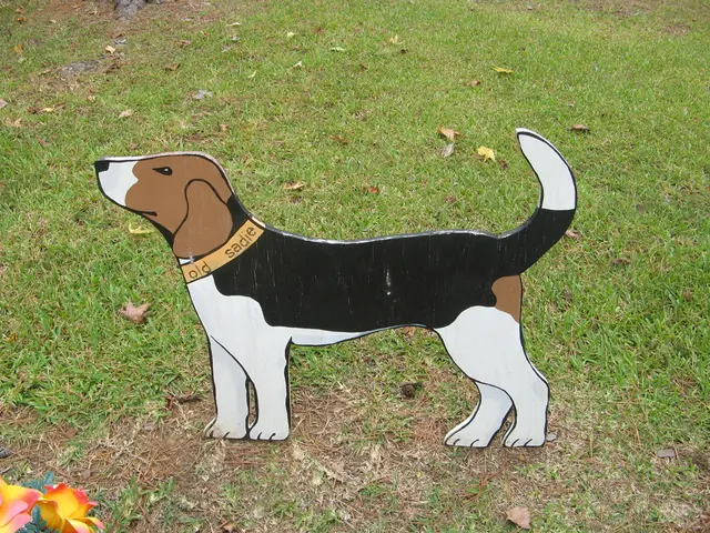 Dogecoin's value dropped by 4.37%, reaching $0.16117 last week. Explore the possibility of a 2.5x...