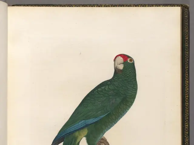 Amazon's consistent growth prompts comparisons to Buffett's investment portfolio.