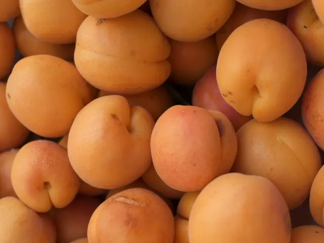 Microsoft and OpenAI Join Forces