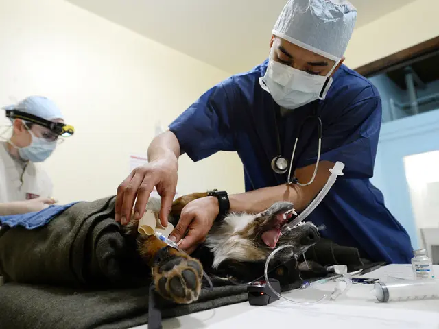 Costly legal quandary over mask usage