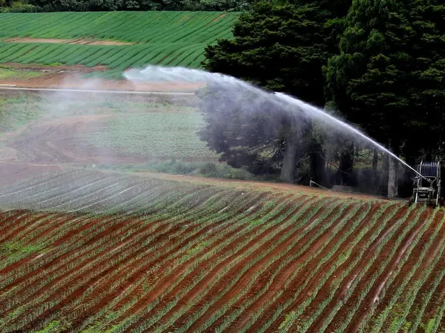 Excessive Resource Consumption in Western Australia Surpasses Global Standards, Calling for an...