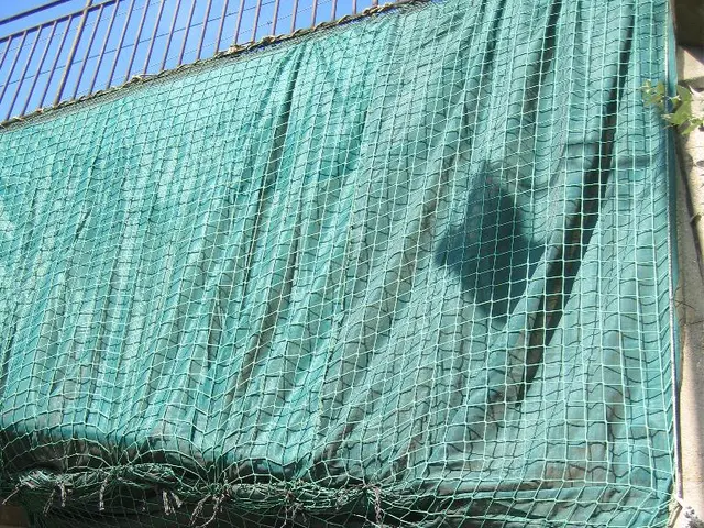 A New Business Entity Formed: Protected Cell Company in Guernsey