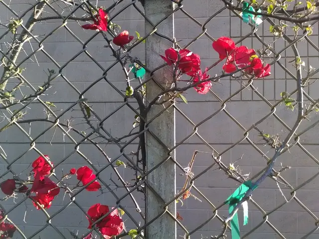 Government's handling of intelligence and surveillance, raising concerns about potential privacy...