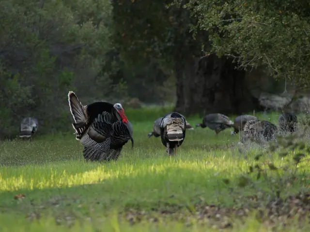 Employment figures show a spike in paid staff members in May, according to official statistics.