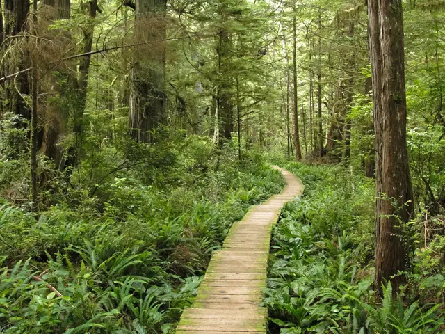 Transitioning towards nature-positive finance: The significant part sustainable taxonomies can play