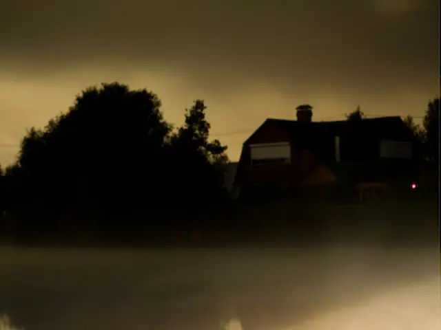 British pension funds commit £375 million to Gresham House's forestry investment plan