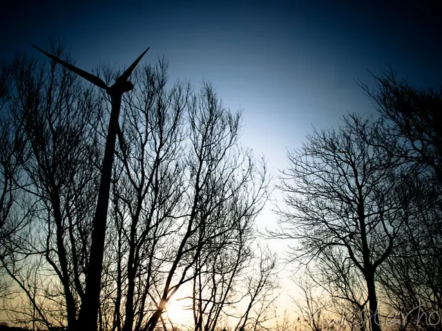 Construction on Empire Wind 1 project resumes following the US government's decision to lift the...