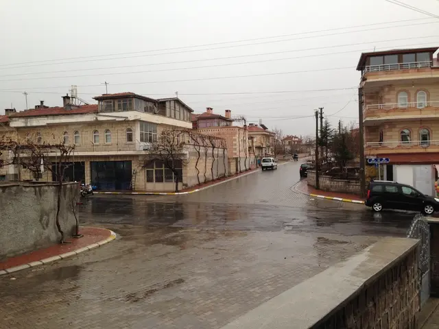 Tesla leads global electric vehicle sales in the first quarter of 2025