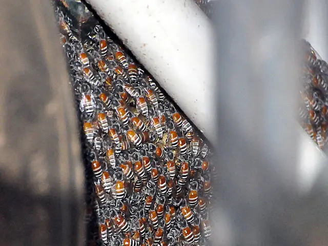 Our site is set to co-coordinate the conference taking place in Croatia