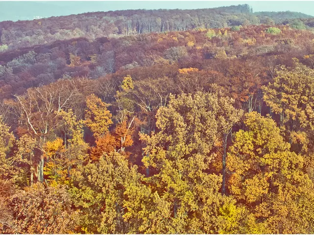 Britain abolishes environment taxonomy