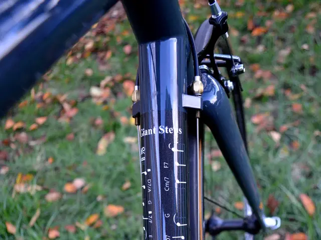 Transportation company TriMet set to reduce services due to inadequate funding from the Oregon...