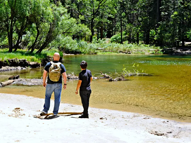 Plans for VTB to combine with BM Bank will be re-examined