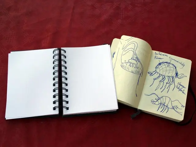 US Tariff Conference Call: Lai Encouraged to Gather Discussion on American Tariffs