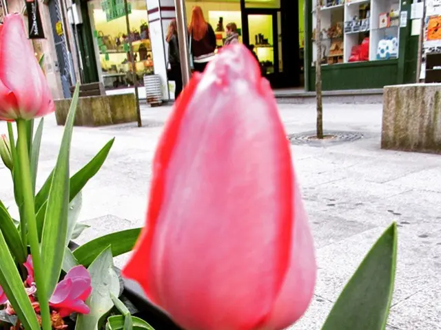 New York City cannabis retailers, including the Tribeca-based family business, find themselves in...