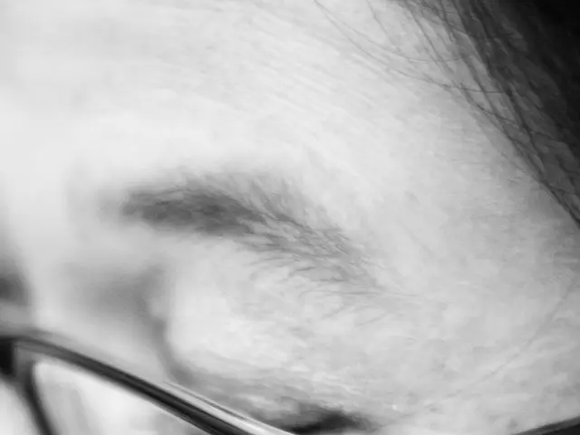 Updated Austrian Driving Permit - 2013 Version