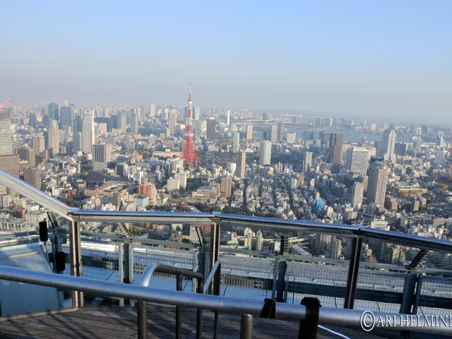 Mayor in Michigan close to the Canadian border explains implications of tariffs for his urban area