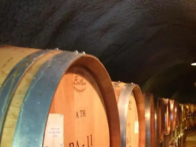 Soaring Oil Prices Anticipated