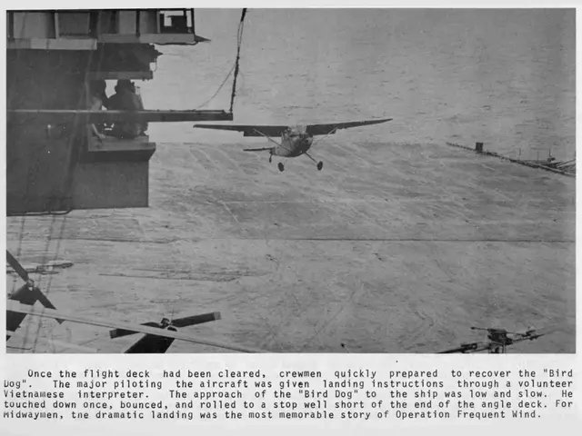 AirBaltic official contends that the company requires approximately 250 million euros