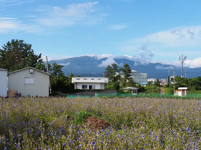 Reducing Carbon Dioxide Emissions in a Refinery Through Solar Energy Utilization
