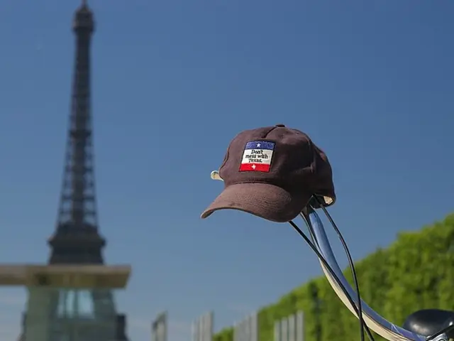 European Parliament Urges Commission to Increase Involvement in Directive Enforcement