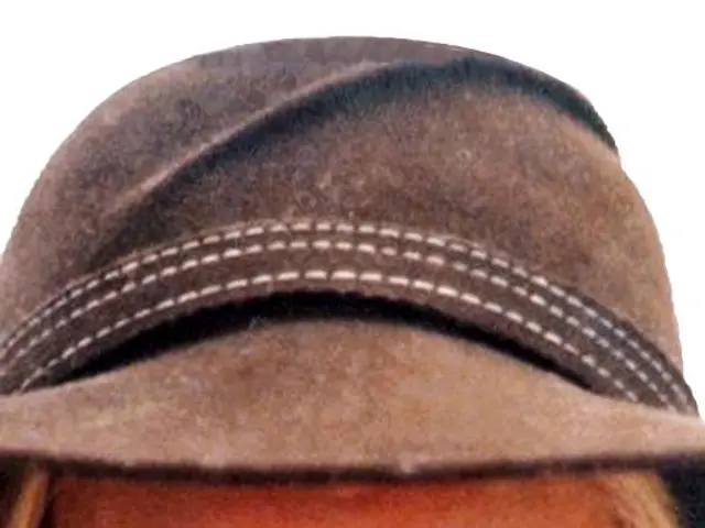 Long-term investment opportunities among India's leading equities funds