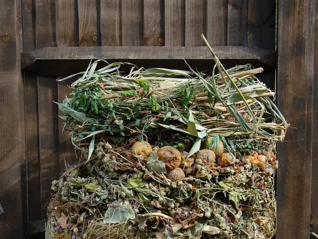 Construction of Slaughterhouse and Hay Storage Facility in Khatasakh announced