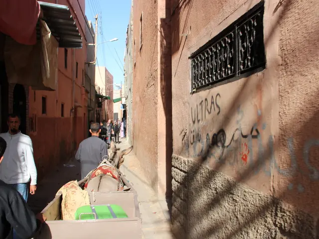 Pope Francis applauds Zambia's initiative to eliminate its debts