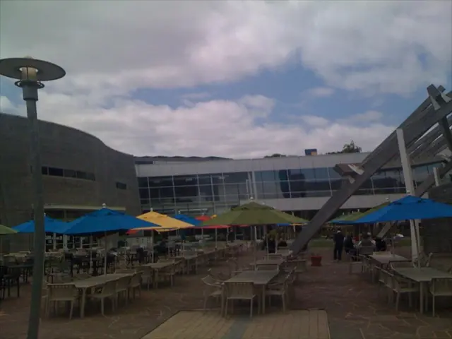 California should not bear sole responsibility for the tourism decline in Las Vegas