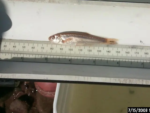 Quarters yield Dax's profit gains - Investment highlights unfolded