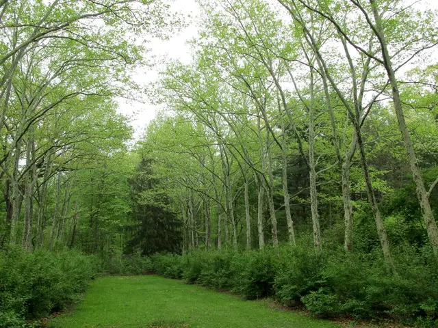 Transformation of UK pension fund's natural assets from conventional to eco-friendly agriculture...