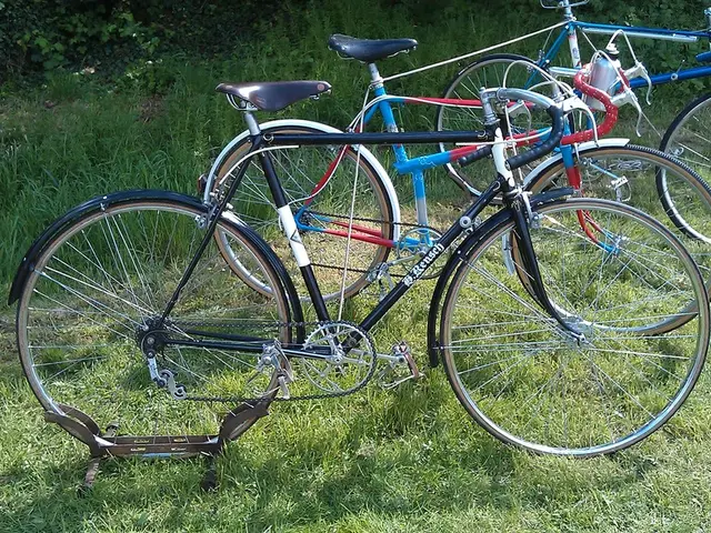 Recycling Economy, Power Generation from Organic Waste Produced by Slaughterhouses