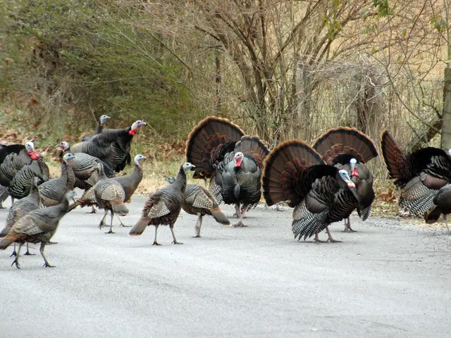 Turkey's transport infrastructure requires an investment of over $116.42 billion by the year 2035,...