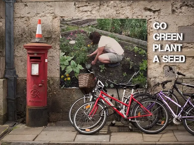 Enhancing Safety in Parking Areas: Bicycle Traffic on Osnabrück's Wallring