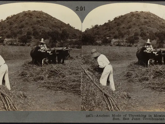 Investment Opportunities: Top Energy Stocks to Purchase for $10,000 and Maintain Indefinitely